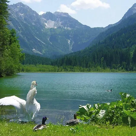 Dom wakacyjny Holiday Alpenblick Osb02085 Fya