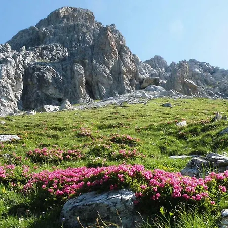 Holiday Alpenblick Osb02085 Fya